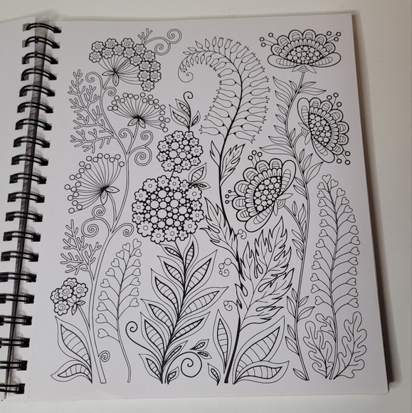 Color and Frame 3 books in 1 Flowers Deserts Oceans NWOT - Picture 2 of 10